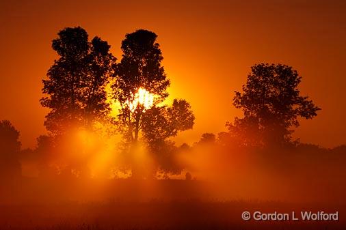 Misty Sunrise_00694.jpg - Photographed near Carleton Place, Ontario, Canada.